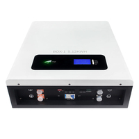 Batterie au lithium LiFePO4 certifiée CE 48V 51.2V 100Ah 5kWh pour système d'énergie solaire domestique avec CANbus RS485