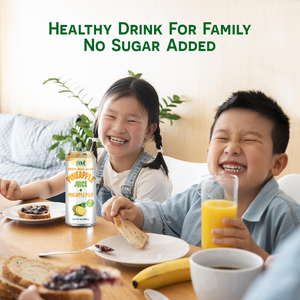 Boisson de jus d'ananas 100% NFC prête à être expédiée avec pulpe 16. 57 floz Vinut sans sucre ajouté sans vraie pulpe sans ingrédients artificiels - Product Image 3