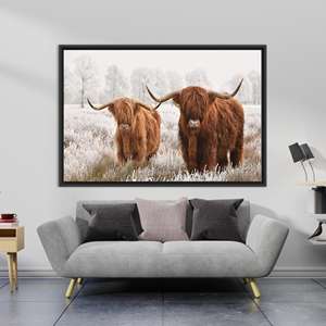 Toile imprimée Vache des Highlands : Impression murale rustique style ferme, TOILE ENCARTÉCHÉE NOIRE - Product Image 1