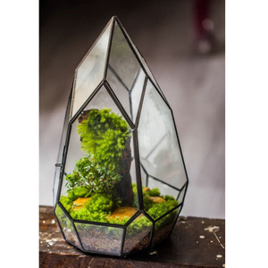 Terrario de cristal transparente con forma geométrica de vidrio con borde de latón en cobre acabado para decoraciones de macetas de jardín - Product Image 3