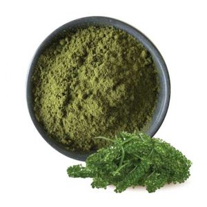 Uvas de mar vietnamitas de alta calidad para exportación // Mr.Kevin - Product Image 1