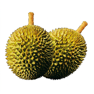 Durian Entero Congelado IQF en Salmuera, Envasado al Vacío, de Malasia, 2 kg, para Almacenamiento en Congelador - Product Image 1