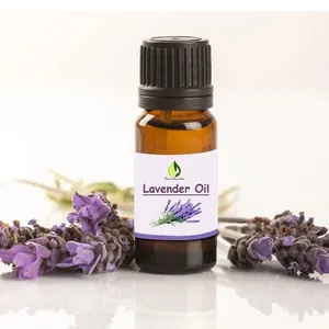 Kosmetik-Klasse Ätherisches Öl Kit kaufen aromatisches Lavenderöl im Großhandel Ätherisches Öl Hersteller natürlich 100% natürlich