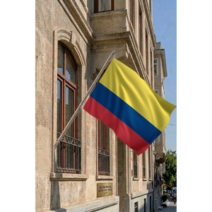 Mástil telescópico de pared para Colombia con banderín de poliéster impreso digitalmente para automoción, educación y seguros - Product Image 2