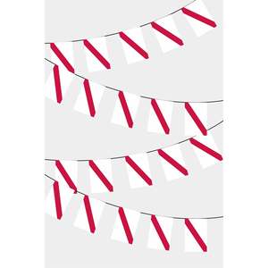Party <b>Banners</b> Namibia Rectangular Flag Bunting - Product Image 1