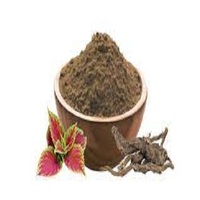 Pur Coleus Forskohli Extrait Poudre 10%-98% Forskolin De Qualité Alimentaire Herbe Halal Certifié Emballé En Tambour quantité minimale de commande 1kg