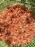Dehydrated Vietnam Dried Shrimp Fresh Sea Product for Seasoning Paste Instant Soup Base and Snack Processing