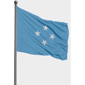 Drapeau personnalisé pour la Fédération micronésienne, imprimé numériquement, en feutre de coton, plastique et polyester, avec mât en aluminium - Product Image 1