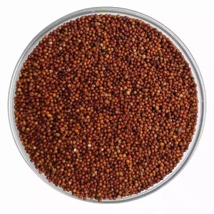 인도 제조 업체의 합리적인 가격에 유아 식품을위한 직접 공장 <span class=keywords><strong>Ragi</strong></span> - Product Image 1