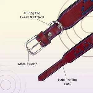 Collar de Perro de Lujo Elegante de PU Sólido Premium con Ajuste Ajustable de Liberación Rápida, Acolchado Duradero, Personalizado, Hecho en India - Product Image 2