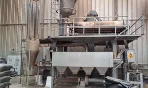 Extracto de Raíz de Tara en Polvo |   Grado Farmacéutico Puro |   Herbal |   Suministro a granel en contenedor de plástico y lata - Product Image 2