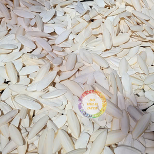 Os de seiche d'oiseau de qualité supérieure riche en minéraux séchés naturellement exportation prêt à être taillé naturel/blanchi 3-9cm/10-15cm/15cm vers le haut - Product Image 2