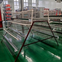 Cage à poulets galvanisée, cage à volailles, système de cages en batterie pour poules pondeuses pour l'élevage commercial de poules pondeuses