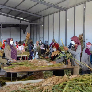 Décoration moderne en herbe de pampa naturelle séchée de 70 cm pour la Saint-Valentin et Noël - Product Image 2