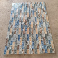 Carreaux muraux rectangulaires en porcelaine moderne Elevation 300x600mm, finition mate, résistants à l'usure, pour salle de bain, cuisine, extérieur