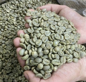 Directo DE LA Sra. Carolina Blended Robusta & Arabica Green & Toasted Coffee Beans Teléfono + 84 976727907 - Product Image 4