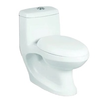 WC moderne en céramique blanche à double chasse, avec fonction de lavage des fesses, pour applications domestiques, hôtelières et de bureau, Inde