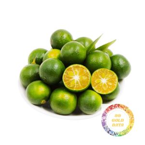 Puré de Jugo de Calamansi Congelado 100% Natural, Extracto de Cítricos de Kumquat de Vietnam para Fabricantes de Bebidas, Postres y Exportación Global - Product Image 1