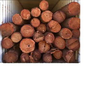 Panneaux de bois de pin de qualité supérieure, fraîchement coupés, forme ronde, diamètre 100 m, exportés d'Allemagne - Product Image 4