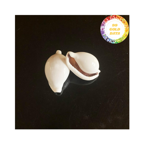 Material de concha de mar natural de cáscara de huevo de vaca blanca perfecto para artesanías de decoración del hogar y fabricación de joyas Vietnam - Product Image 5