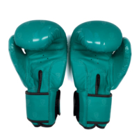 Gants de boxe Sanda personnalisés avec logo, gants d'entraînement en plein air, cuir de vache véritable du Pakistan, fermeture à lacets