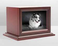 Urnes de crémation en bois faites à la main de Style américain de haute qualité pour les cendres de chat et de chien pour les funérailles d'animaux de compagnie Urnes funéraires en gros - Product Image 2