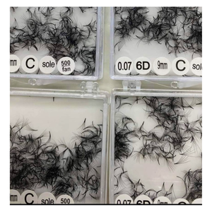 Extensions d'éventail de cils Camelia 6D faites à la main emballage de plateau de beauté fabricant vietnamien numéro de modèle facile - Product Image 2