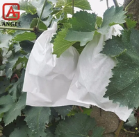 Hot Selling Pp Non-Woven Stof Fruit Kweek Hoes Fruitteelt Bescherming Niet-Geweven Zak