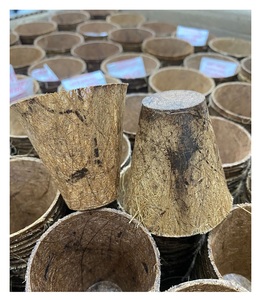 Macetas de inicio de semillas de coco Macetas de vivero biodegradables Macetas de plántulas Germinación de proveedor Vietnam - Product Image 4