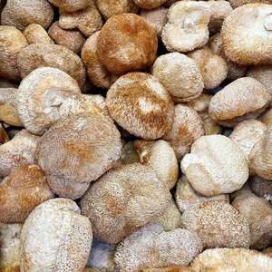 Otdeals-comida seca para Cocina - Product Image 3