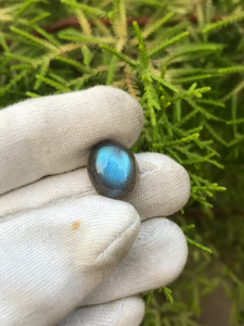 Aaa + Lớp Tự Nhiên Labradorite Đá Quý Đẹp Màu Xanh Lửa Màu Cổ Điển Hình Bầu Dục Cắt Cab Thanh Lịch Mảnh - Product Image 5