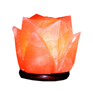 Lampe au sel de l'Himalaya-Bloc sculpté à la main en forme de fleur en cristal naturel pour l'éclairage intérieur - Product Image 5