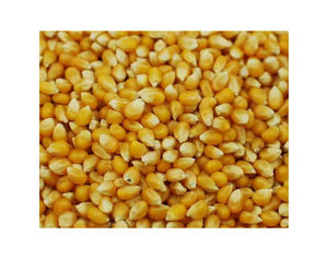 Precio de fábrica, el mejor proveedor, a granel, alto contenido de proteínas, alimentos para animales de primera calidad, precios de harina de soja a la venta - Product Image 1