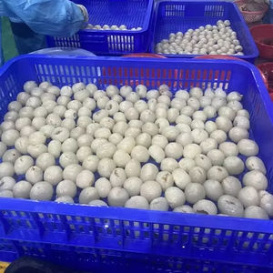 ลิ้นจี่แช่แข็งจากเวียดนาม | ปอกเปลือกและทิ้ง | ขายส่ง - Product Image 1