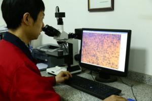 애완 동물 혈액 컬렉션 튜브 금형 12mm x 100mm - Product Image 3