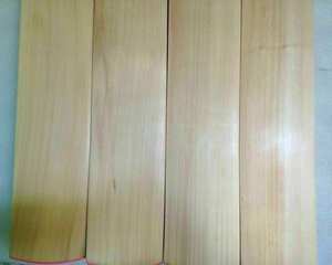 Batte de cricket pakistanaise de taille régulière Batte de cricket exclusive pour adulte pleine taille avec couverture de protection complète Super Power, Cannon - Product Image 4