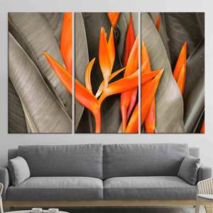 Toile imprimée : élégante illustration florale d'Heliconia orange, ensemble de 3 toiles - Product Image 1