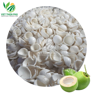 ลดสุดๆ!!! เนื้อมะพร้าวแช่แข็ง ราคาถูกสุดๆ คุณภาพสูง พร้อมส่งออกจากเวียดนาม - Product Image 1