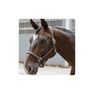 Meilleure qualité licou en cuir de cheval indien prix de gros licou triple couture fournisseur pliant - Product Image 1