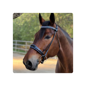 ORSE riridle uustomized He he AUREN olloled lack eath nanafle Ridle riresage rirills eaeath Smart - Product Image 1