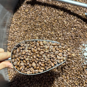 Grains de café Robusta biologique de haute qualité Vietnam NT Café Fournisseur direct Certifié HACCP Emballage et image de marque personnalisés - Product Image 5