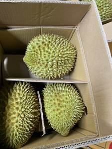 Durian séché vietnamien, fruit sucré réputé, culture sans OGM, tranches conservées en vrac, processus de conservation naturel à l'eau - Product Image 5
