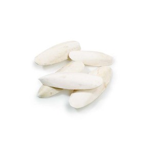 Os de seiche congelés pour les taux d'entretien du bec offerts - Product Image 6