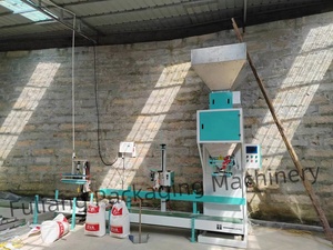 Hệ thống đóng gói, cân, may và nhồi bao lớn 5kg, 20kg, 50kg bằng vải dệt - Product Image 4