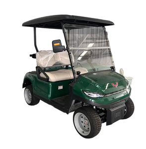 E1ectr1c 2ที่นั่ง Cert1f1ed H0t Wu11ng รถเข็น48vss 0EM Se111ng รถเข็น2ที่นั่ง - Product Image 3