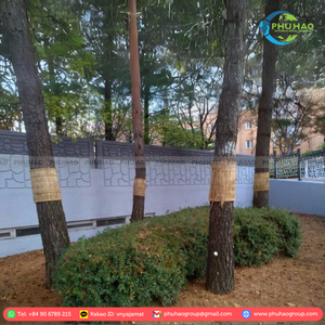 PRODUCTO SUPERIOR Mejore su experiencia al aire libre con SEDGE MAT duradero para cortavientos y protección de jardines - Product Image 6