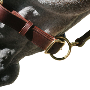 อัลราห์แมนชุดเดรสหนังแท้ AL-LH-102มีเชือกผูกคอกระเป๋าหนังวัวพรีเมียมวัตถุประสงค์ในการขี่และแข่งม้ากลางแจ้งเล่นกีฬาขี่ม้า - Product Image 3