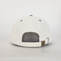 Sombreros deportivos ajustables ajustados Gorras Snapback de ala plana populares Logotipo personalizado Bordado 3D Pana Moda al aire libre