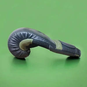 Guantes de Boxeo Ligeros con Acolchado y Cierre Seguro, con Espuma de Control de Impactos y Sensación Interior Suave - Product Image 3