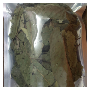 Hoja de guayaba seca con textura suave, aroma suave, bien empaquetada y lista para exportar a granel - Product Image 4